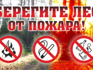 Пожарная безопасность в лесу.